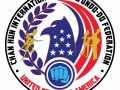 CHITF-USA-logo